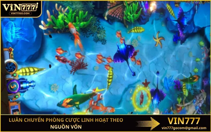 Luân chuyển phòng cược linh hoạt theo nguồn vốn